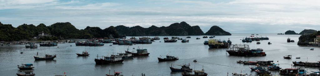 Bucht vor Cat Ba Town